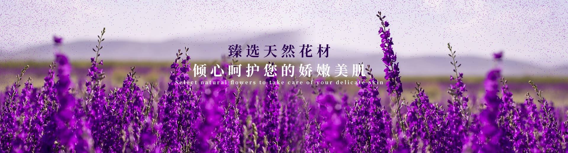 泰安泰山力源機(jī)械科技有限公司